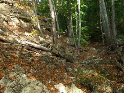 Прикрепленное изображение: DSCF5826.jpg